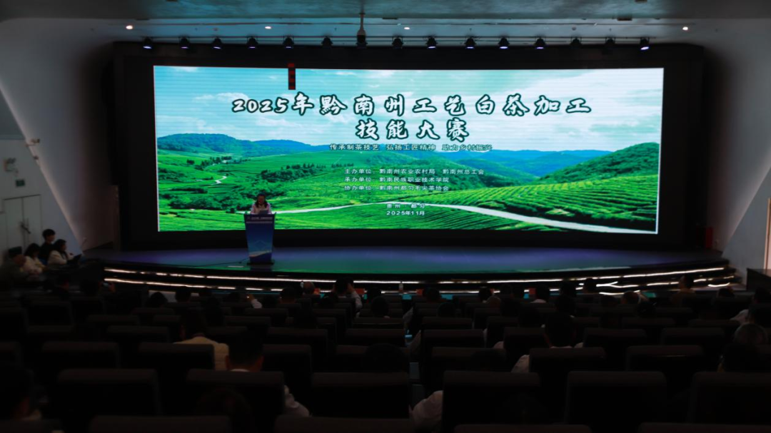 2025年黔南州工艺白茶加工技能大赛在黔南职院开赛